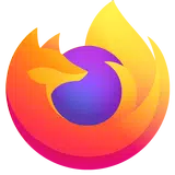 Firefox browser privado