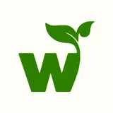 Newway International